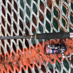 懲りずにエギング