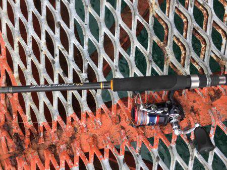 懲りずにエギング