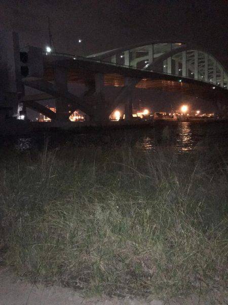 短時間釣行（≧∇≦）