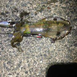 良い感じの月明かり