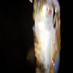 エギング好調！