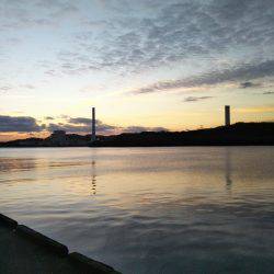 中浦緑地公園テンヤでタチウオ