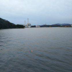 大潟岸壁テンヤでタチウオ