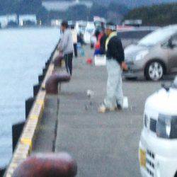 大潟岸壁テンヤでタチウオ