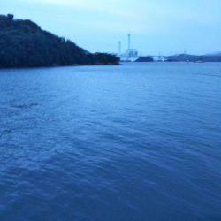 大潟岸壁テンヤでタチウオ&サゴシ