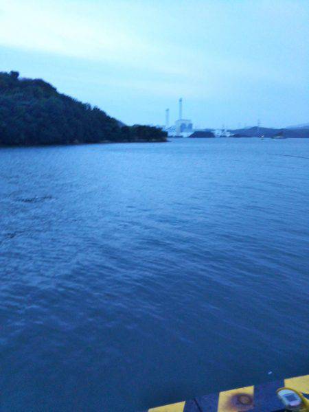 大潟岸壁テンヤでタチウオ&サゴシ