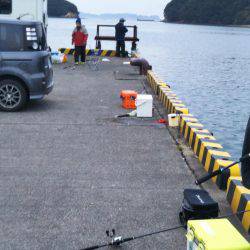 大潟岸壁テンヤでタチウオ