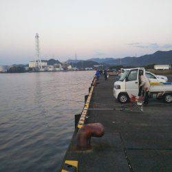 大潟岸壁テンヤでタチウオ