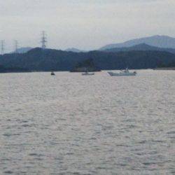 大潟岸壁テンヤでタチウオ