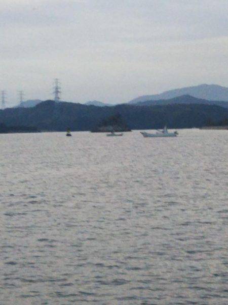 大潟岸壁テンヤでタチウオ