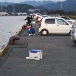 大潟岸壁テンヤでタチウオ