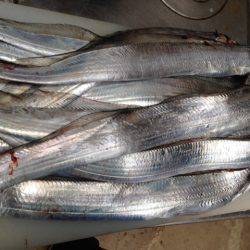 本命はさて置き!!!