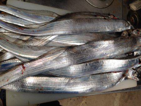 本命はさて置き!!!