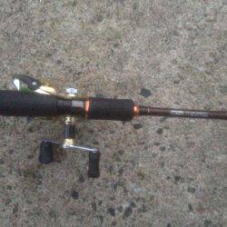 気持ちい風の中