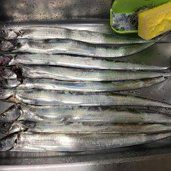 強風の中タチウオ釣りに