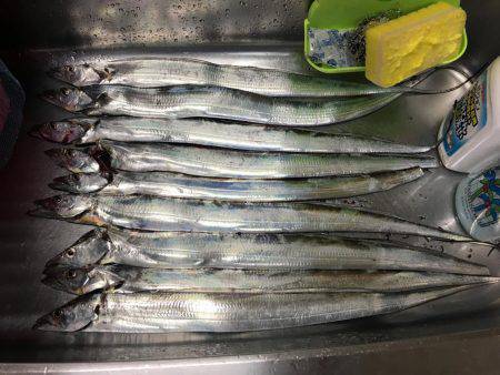 強風の中タチウオ釣りに