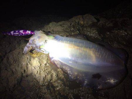 夕マヅメ不発・・・