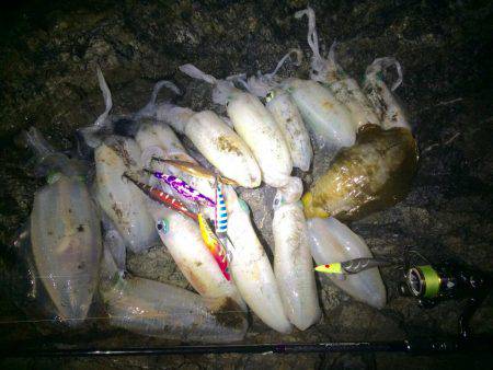 ナイトではポロポロと