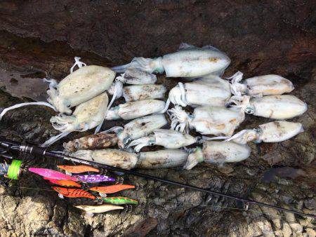 激流ナイトエギング