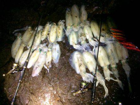 夕マヅメ〜〜ナイトエギング