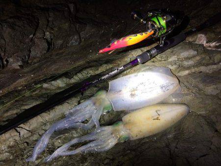 爆風真っ向勝負。