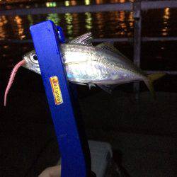 雨の予報覚悟で