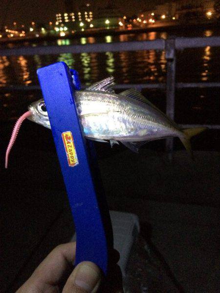 雨の予報覚悟で