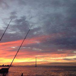 夕マヅメより朝マヅメ釣行