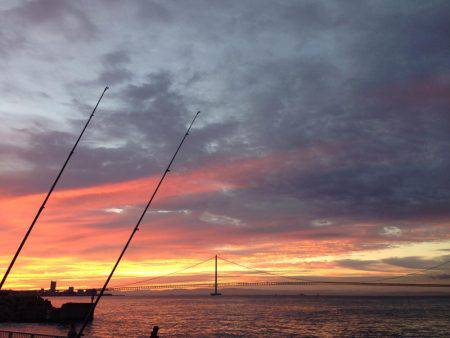 夕マヅメより朝マヅメ釣行
