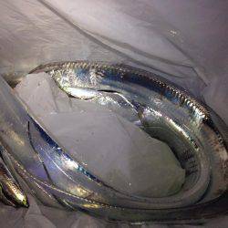 何を試しても反応なかったが、あるキッカケで。。。