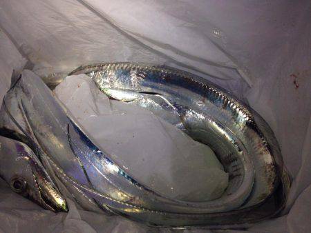 何を試しても反応なかったが、あるキッカケで。。。