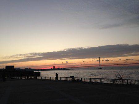 寒い中、60cmオーバーのアナゴゲット！