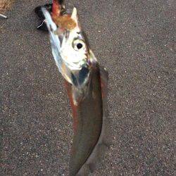 ワインドとフラップで