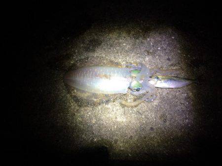 強風豪雨劇濁り