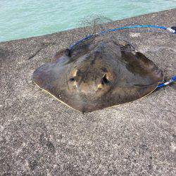 海は最悪のコンディション