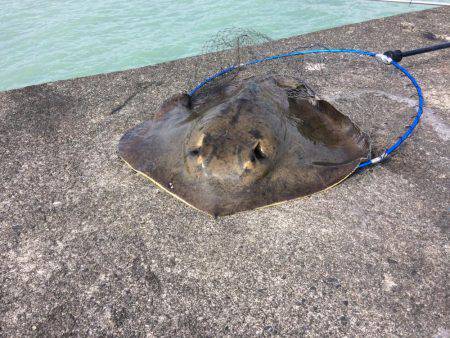 海は最悪のコンディション