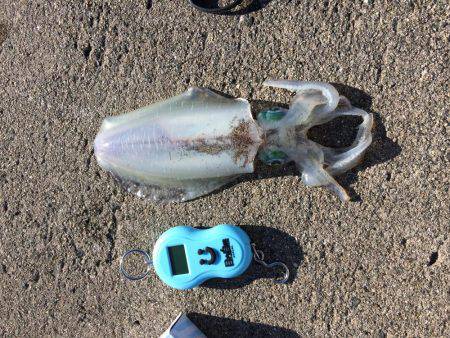 冬の空と風に…