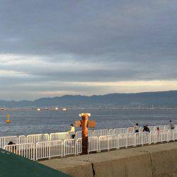 久々の海釣り公園での朝練5:00-6:30