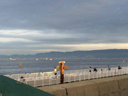 久々の海釣り公園での朝練5:00-6:30