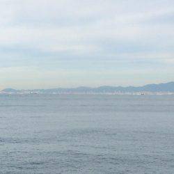 マイポイントで朝練