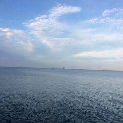 マイポイントで刀狩り