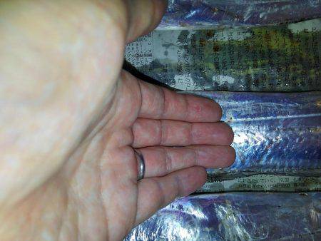 F4.5来た！そして、タチウオ18匹♪