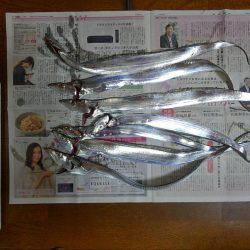 タチウオ遊び♪