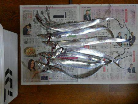 タチウオ遊び♪