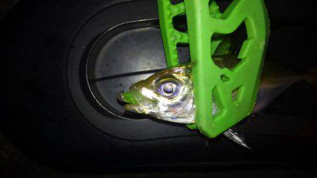 夕食アジンガー