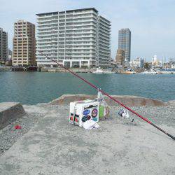 近場の明石港に釣行しました