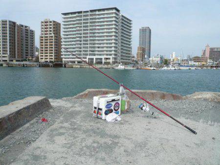 近場の明石港に釣行しました