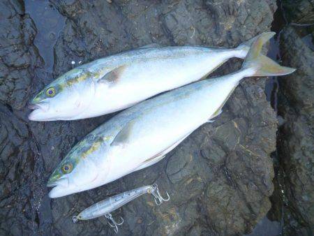 強風でしたが。。。