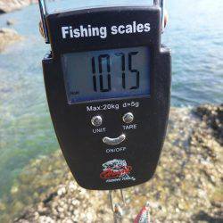 デイエギングでキロアップ♪