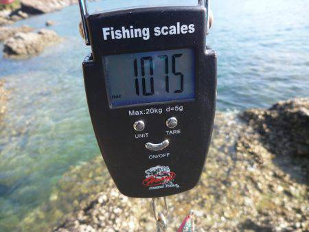 デイエギングでキロアップ♪